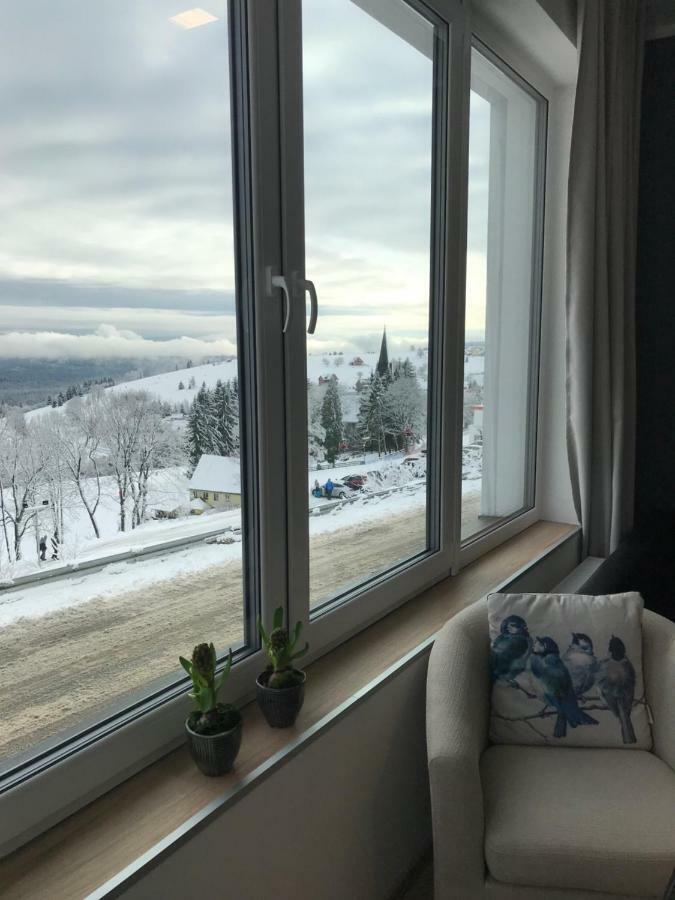 Apartamenty Zieleniec Душники-Здруй Екстер'єр фото